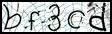 Texto para introducir
