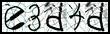 Texto para introducir