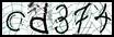 Texto para introducir