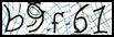 Texto para introducir