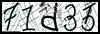 Texto para introducir
