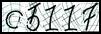 Texto para introducir