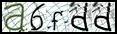 Texto para introducir