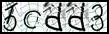 Texto para introducir
