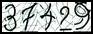 Texto para introducir