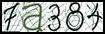 Texto para introducir