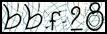 Texto para introducir