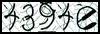 Texto para introducir