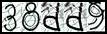 Texto para introducir