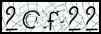 Texto para introducir