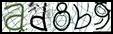 Texto para introducir