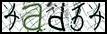 Texto para introducir