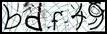 Texto para introducir