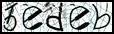 Texto para introducir