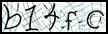 Texto para introducir
