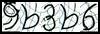 Texto para introducir