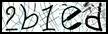 Texto para introducir