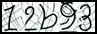 Texto para introducir