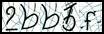 Texto para introducir