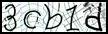 Texto para introducir