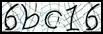 Texto para introducir