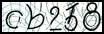 Texto para introducir
