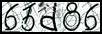 Texto para introducir
