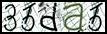Texto para introducir