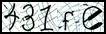 Texto para introducir
