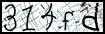 Texto para introducir