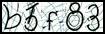 Texto para introducir