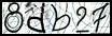 Texto para introducir