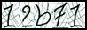 Texto para introducir